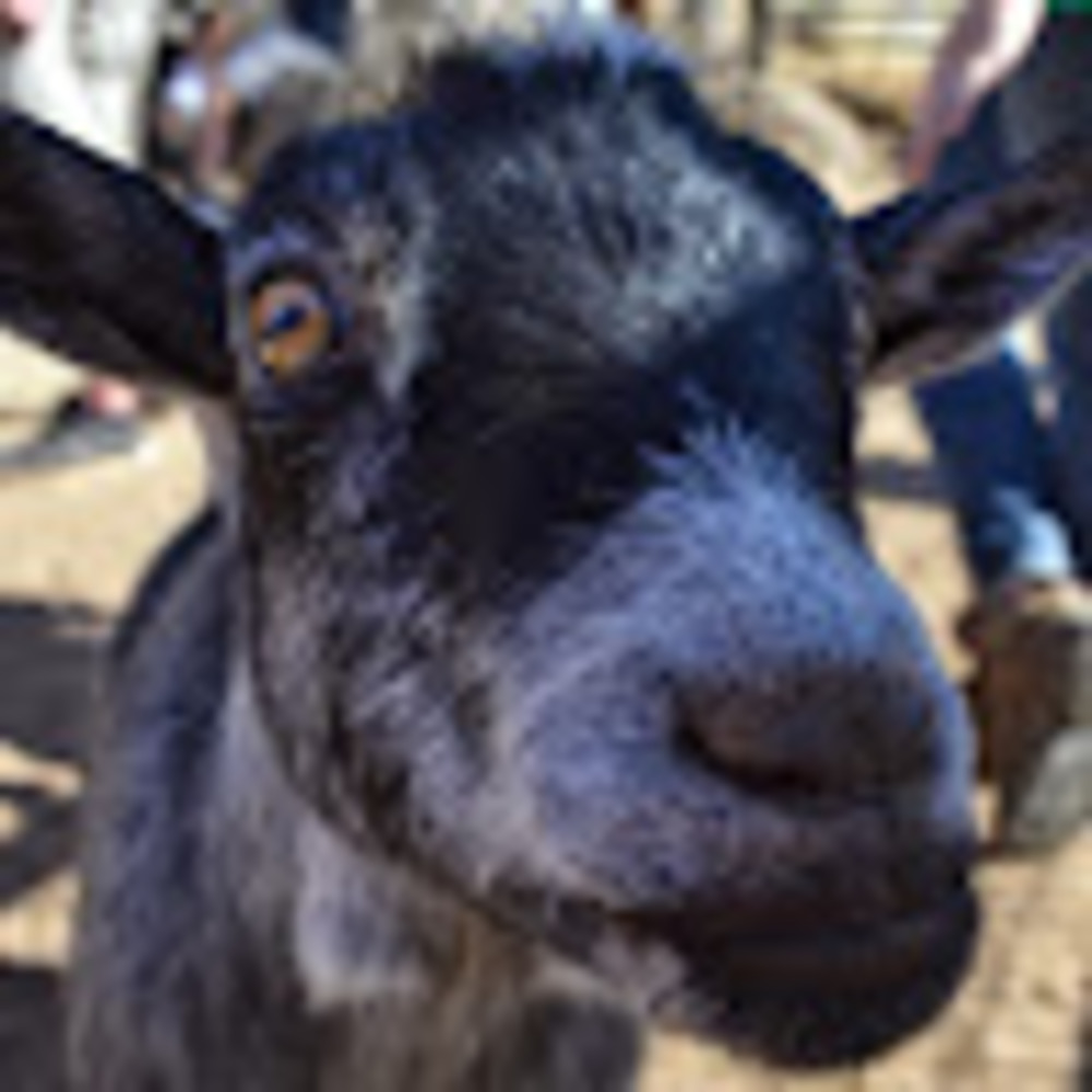 Meet your Posher, Matt